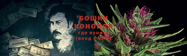 стафф Мегион