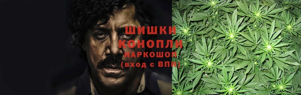 шишки Медногорск