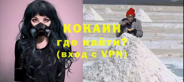 шишки Медногорск