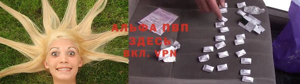 стафф Мегион