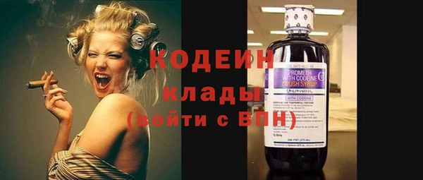 PSILOCYBIN Майский