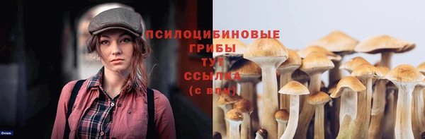 стафф Мегион