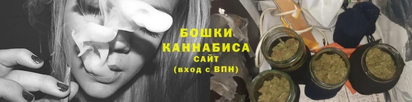 шишки Медногорск