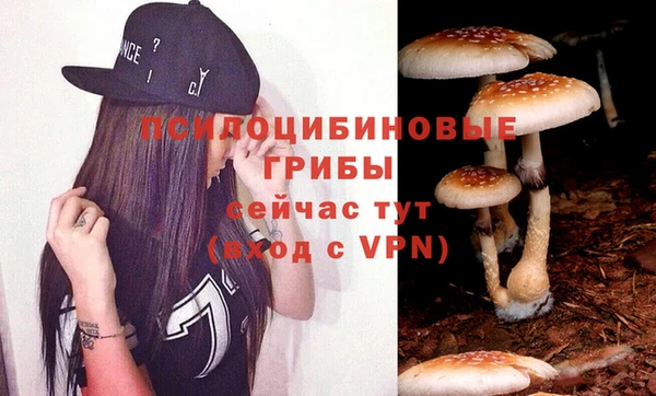 шишки Медногорск