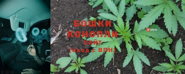 шишки Медногорск