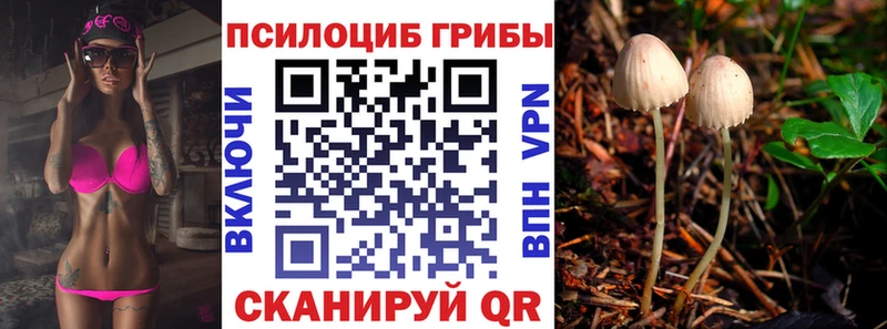 Псилоцибиновые грибы GOLDEN TEACHER  Биробиджан 