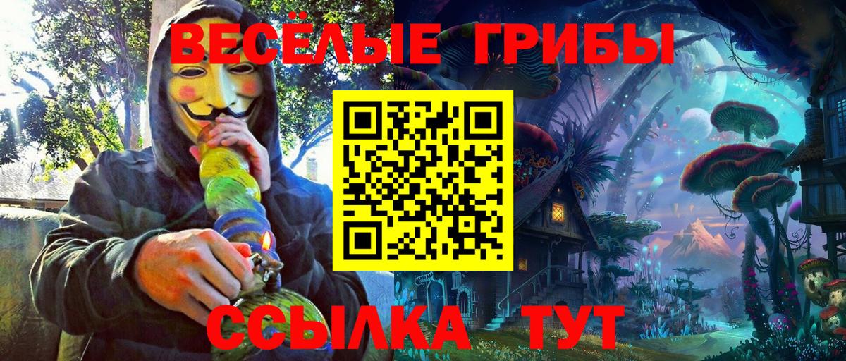 Галлюциногенные грибы Cubensis  Биробиджан 